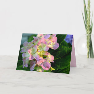 Carte de condoléances pour Hydrangea Rose Ensoleil