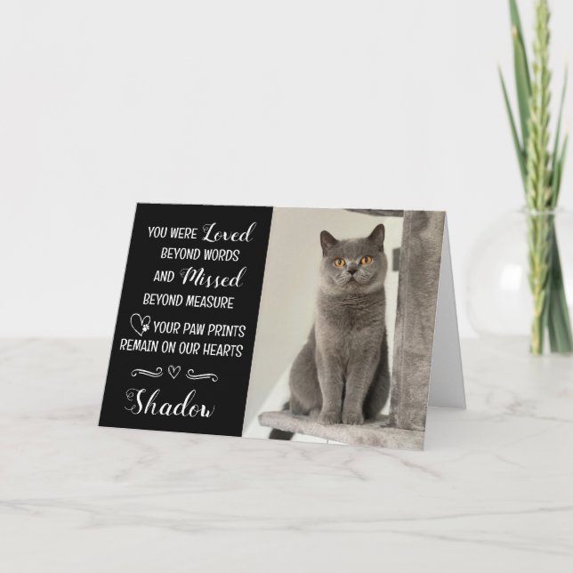 Carte de condoléances pour perte de chat personnal (Devant)