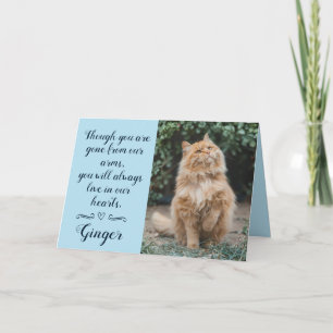 Carte de condoléances pour perte de chat personnal