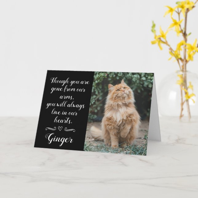 Carte de condoléances pour perte de chat personnal (Fleur jaune)