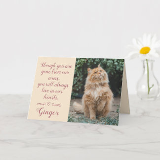 Carte de condoléances pour perte de chat personnal