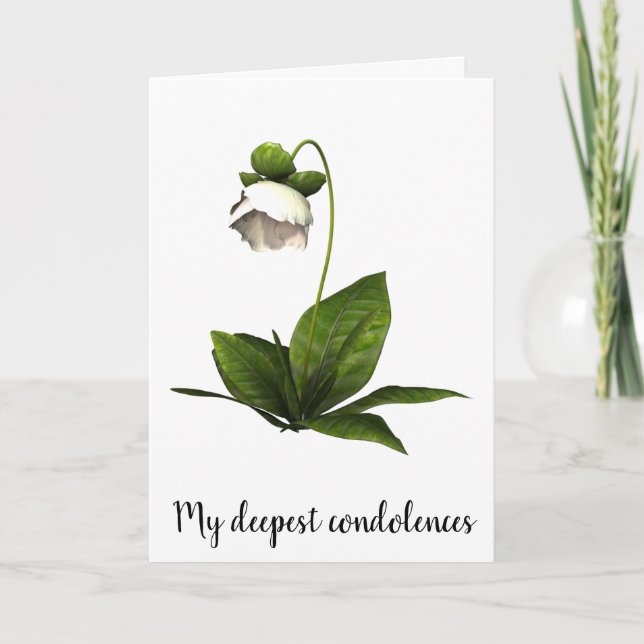 Carte de condoléances simple fleur blanche (Devant)