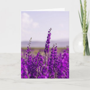 CARTE DE CONDOLÉANCES SYMPATHIE FLEURS LAVANDE VIO