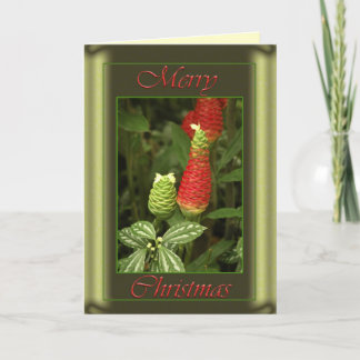 Carte de cône de pin de Noël