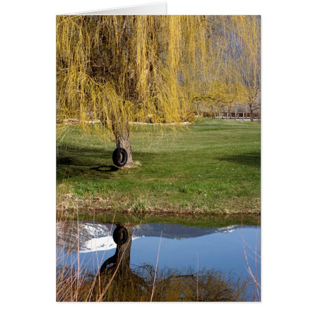 Carte de confort Spring Pond (Devant)