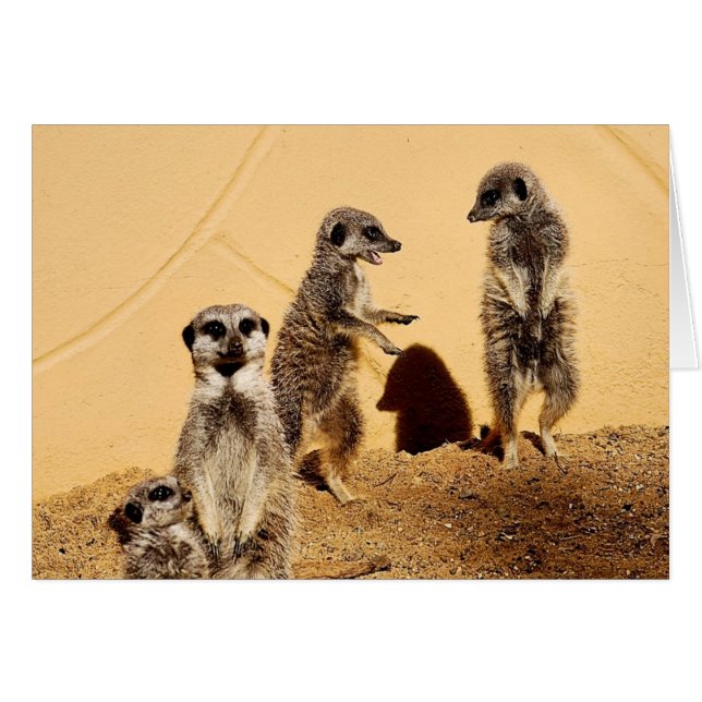 carte de conversation (Devant horizontal)