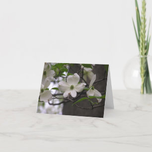 Carte de cornouiller (cornus la Floride)