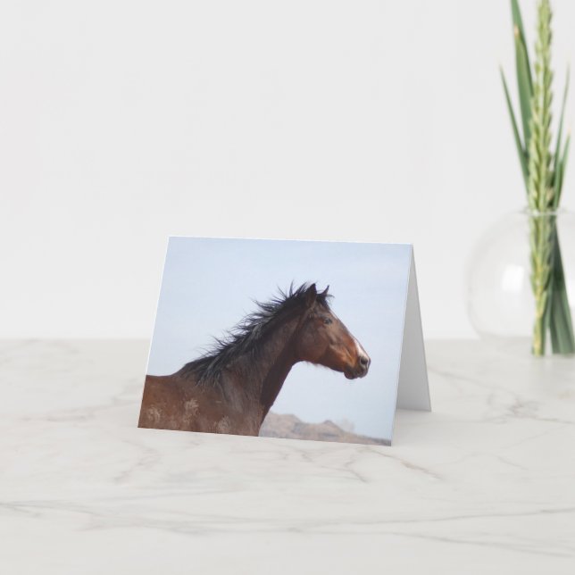 Carte de correspondance (Devant)