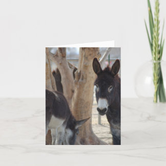 Carte de correspondance