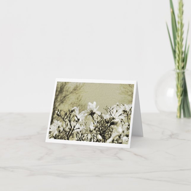 Carte de correspondance (Devant)