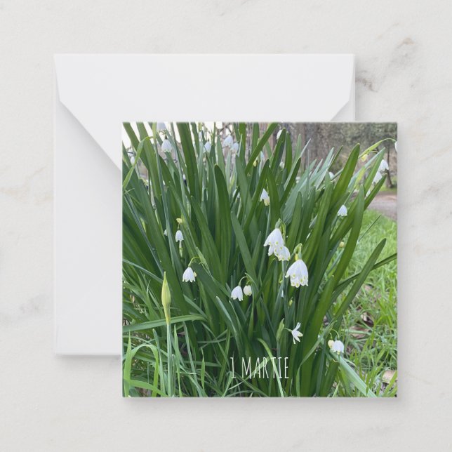 Carte De Correspondance 1Carte de note Martie (Devant)