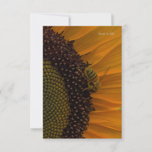 Carte De Correspondance Abeille et tournesol en haut