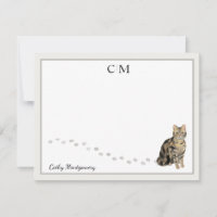 American Short Hair Brown Tabby Chat Nom du monogr