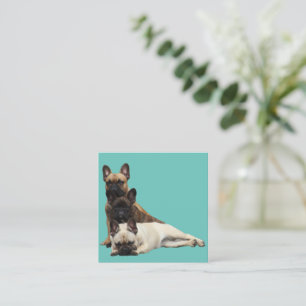 Carte De Correspondance Amis Bouledogues Français French Bulldog