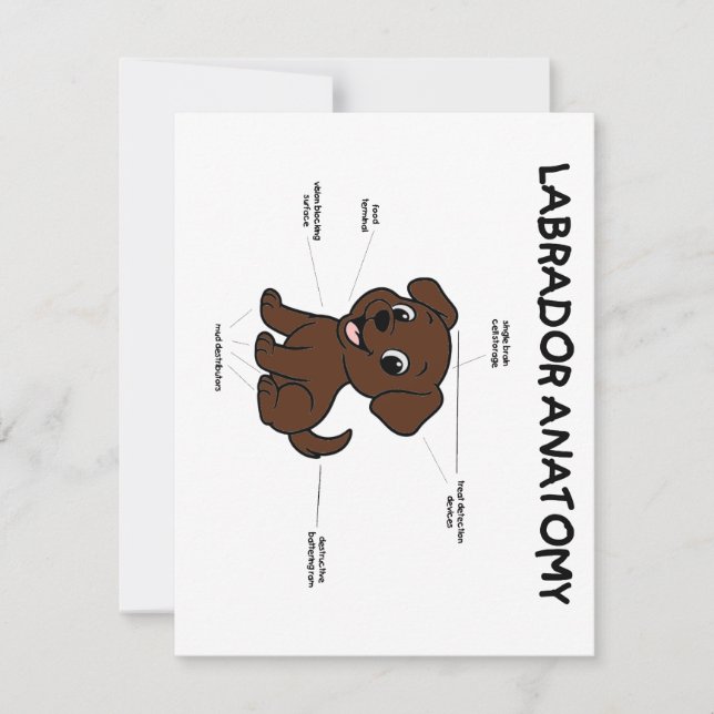 Carte De Correspondance Anatomie de Labrador Retriever Chocolat de Dessin  (Devant)