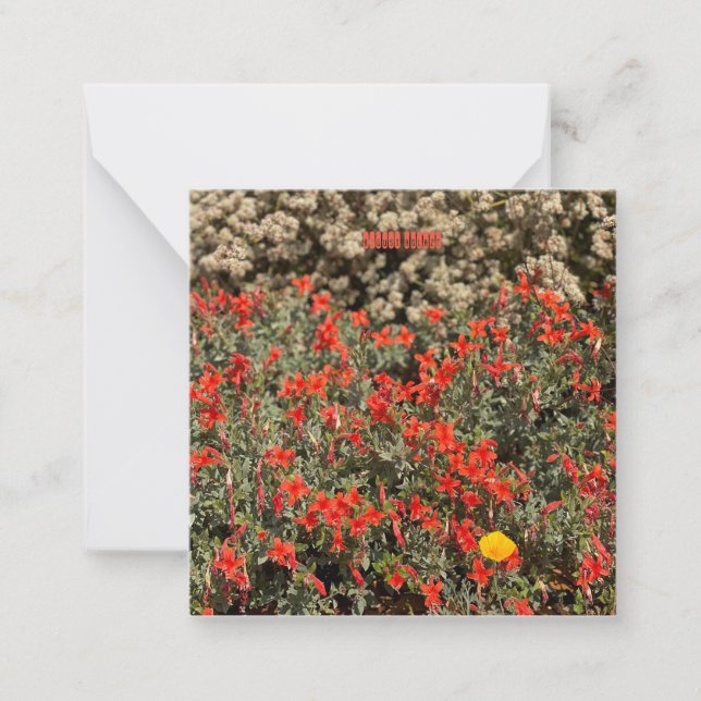 Carte De Correspondance Août (Devant)