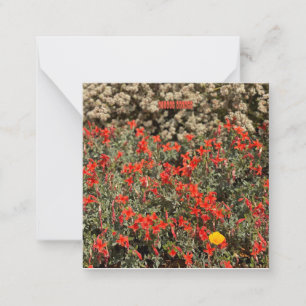Carte De Correspondance Août