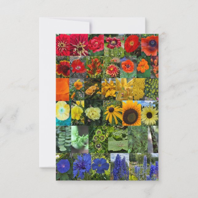 Carte De Correspondance Arc-en-ciel de Fleurs  (Devant)