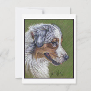 Carte De Correspondance Australian Shepherd, Blue Merle,