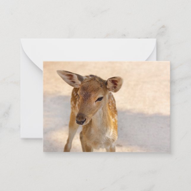 Carte De Correspondance Baby Deer (Devant)