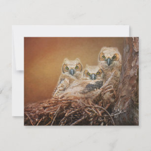 Carte De Correspondance Baby Great Horned Owls Photography