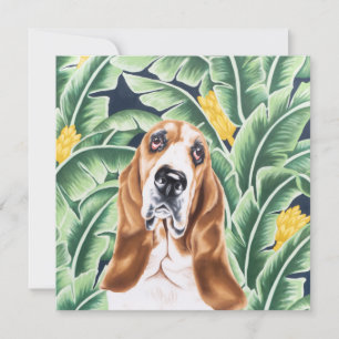 Carte De Correspondance Basset Hound