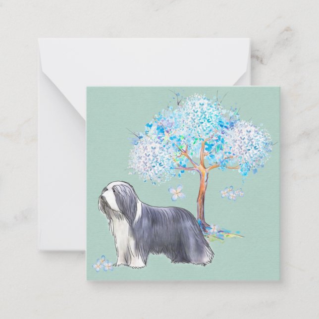Carte De Correspondance Bearded Collie (Devant)