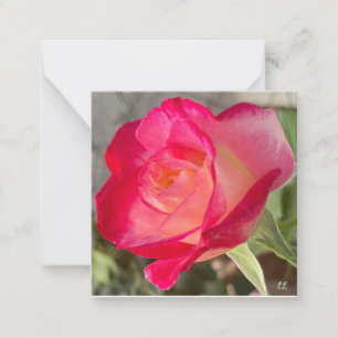 Carte De Correspondance Beau Rose