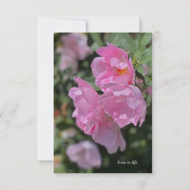 Carte De Correspondance Beau Roses rose pâle (Devant)