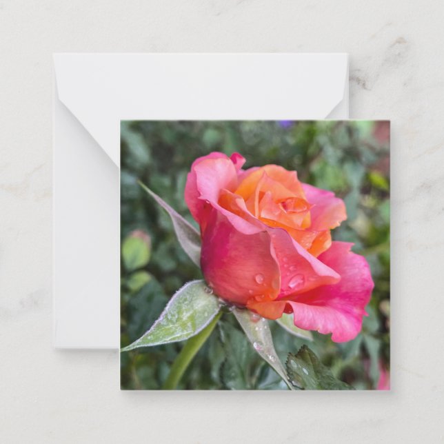 Carte De Correspondance Beauté (Devant)