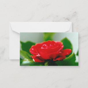 Carte De Correspondance Belles gouttes de rosée du matin sur une rose roug