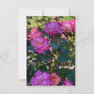 Carte De Correspondance Belles roses roses roses