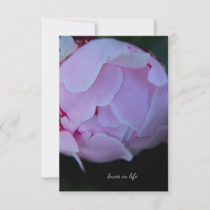 Carte De Correspondance Big Pink Peony Bud