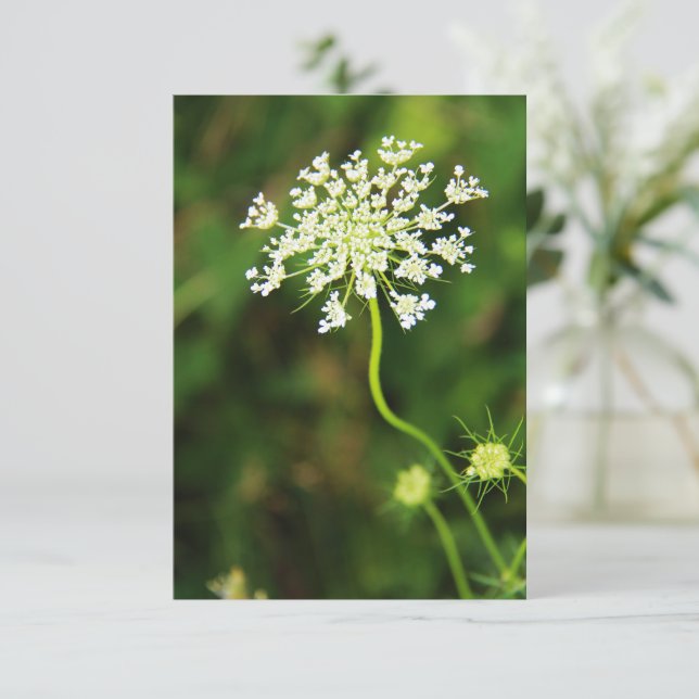 Carte De Correspondance Blank Queen Anne's Lace Fleur sauvage (Debout devant)