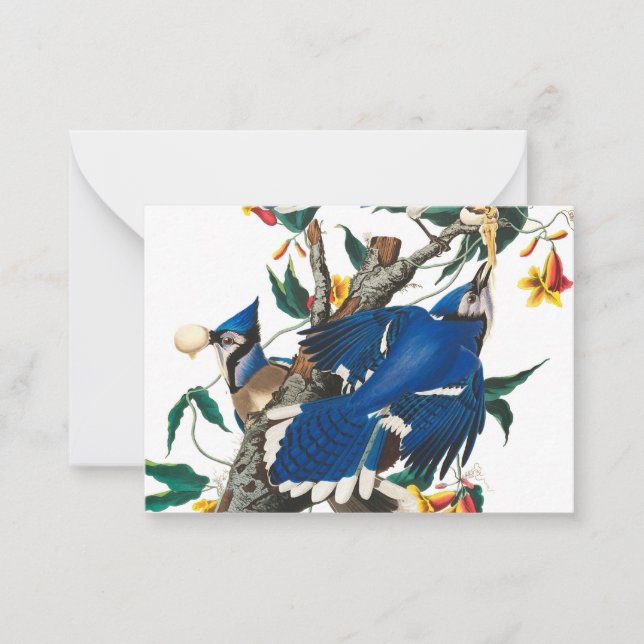 Carte De Correspondance Blue Jay par John James Audubon (Devant)