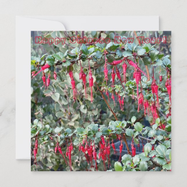 Carte De Correspondance Bonne année chinoise ! (Devant)