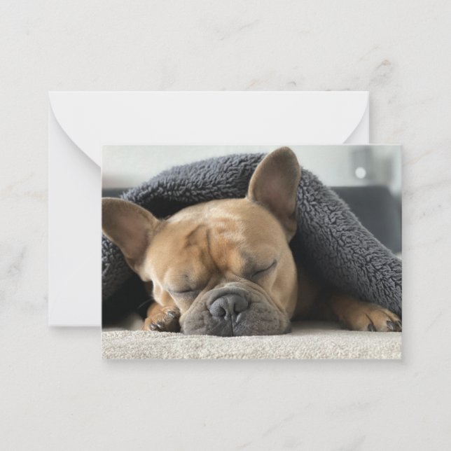 Carte De Correspondance bouledogue français sous la couverture  (Devant)