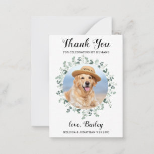 Carte De Correspondance Budget Eucalyptus Pet Photo Chien Mariage de Merci