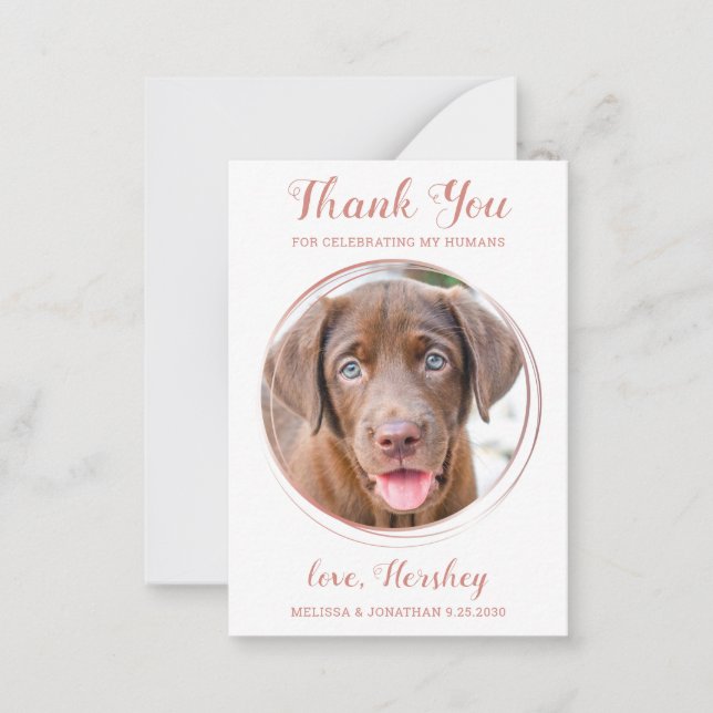 Carte De Correspondance Budget Pet Photo Chien Mariage Rose Gold Merci (Devant)