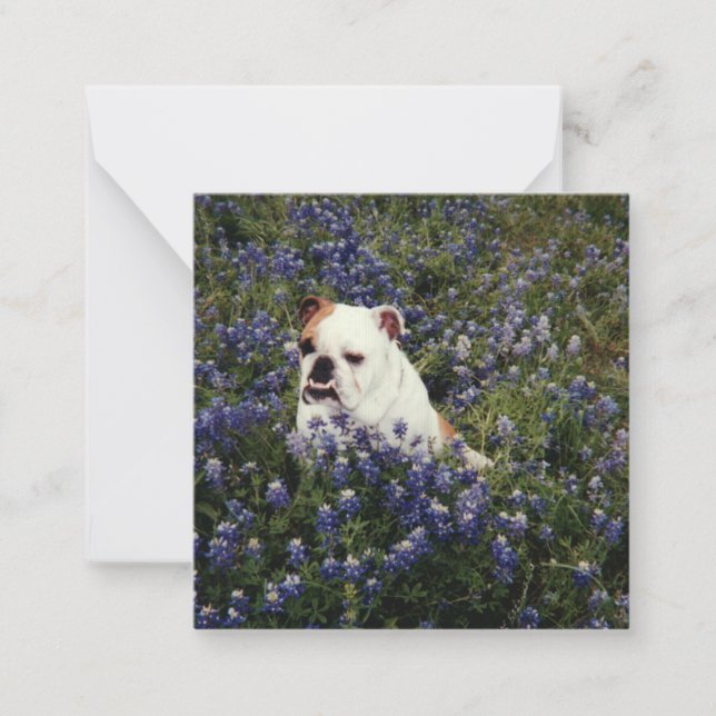 Carte De Correspondance Bulldog anglais en Texas Bluebonnets Note Card (Devant)