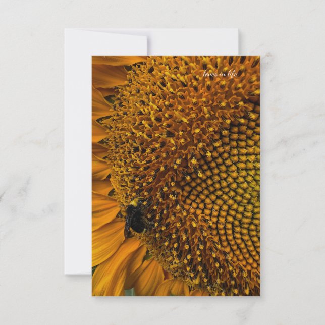 Carte De Correspondance Bumble Bee & Sunflower (Devant)