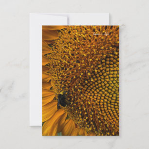 Carte De Correspondance Bumble Bee & Sunflower