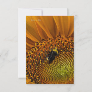 Carte De Correspondance Bumble Bee & Sunflower