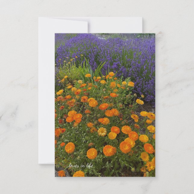 Carte De Correspondance Calendulas & Lavender (Devant)