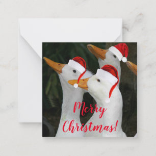 Carte De Correspondance Canards blancs portant des chapeaux de Père Noël r