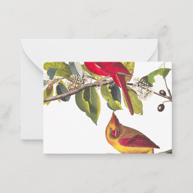 Carte De Correspondance Cardinal Grosbeak par John James Audubon (Devant)