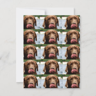 Carte De Correspondance Carreaux de Chocolat Labrador Retriever BG