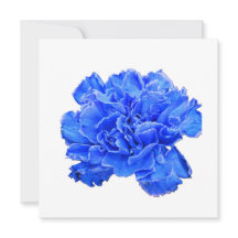 Carton de Note Sérénité Carnation Bleue – Motif Fl