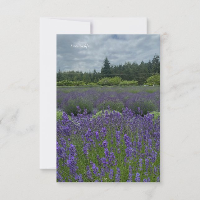 Carte De Correspondance Champ de lavande, Jour nuageux (Devant)
