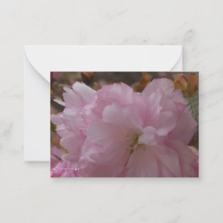 Carte De Correspondance Cherry Blossom Sympathy Card